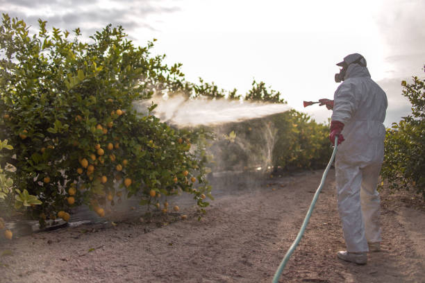 Best Flea Control Services  in Heartland, TX