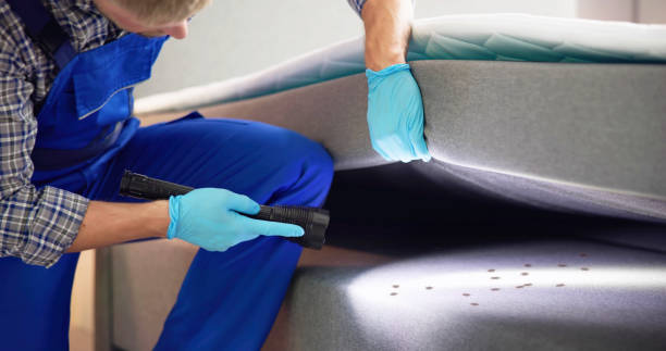 Trusted Heartland, TX Pest Control Experts
